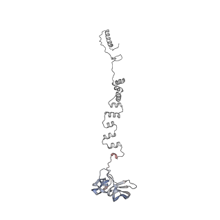 4677_6qyd_3x_v1-0
Cryo-EM structure of the head in mature bacteriophage phi29
