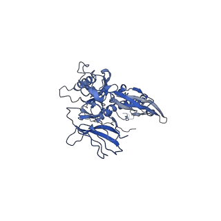 4677_6qyd_4B_v1-0
Cryo-EM structure of the head in mature bacteriophage phi29