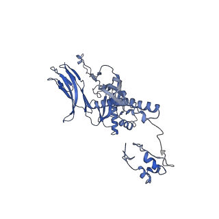 4677_6qyd_4D_v1-0
Cryo-EM structure of the head in mature bacteriophage phi29