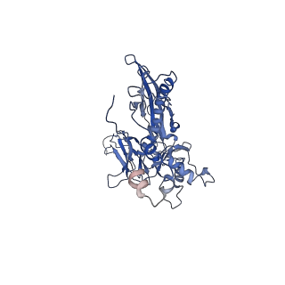 4677_6qyd_4E_v1-0
Cryo-EM structure of the head in mature bacteriophage phi29