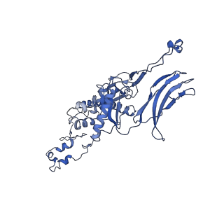 4677_6qyd_4G_v1-0
Cryo-EM structure of the head in mature bacteriophage phi29