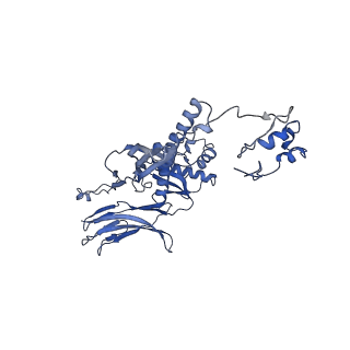 4677_6qyd_4J_v1-0
Cryo-EM structure of the head in mature bacteriophage phi29