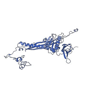 4677_6qyd_4L_v1-0
Cryo-EM structure of the head in mature bacteriophage phi29