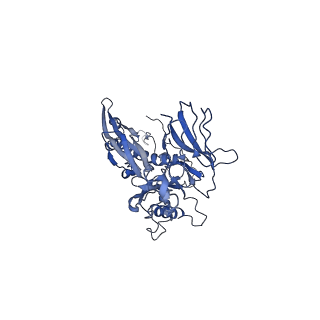 4677_6qyd_4N_v1-0
Cryo-EM structure of the head in mature bacteriophage phi29