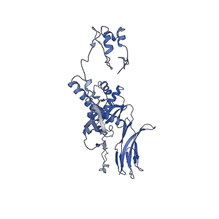 4677_6qyd_4P_v1-0
Cryo-EM structure of the head in mature bacteriophage phi29