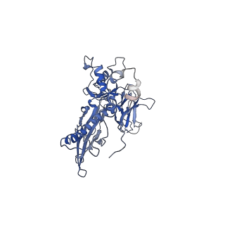 4677_6qyd_4Q_v1-0
Cryo-EM structure of the head in mature bacteriophage phi29