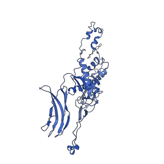 4677_6qyd_4Y_v1-0
Cryo-EM structure of the head in mature bacteriophage phi29