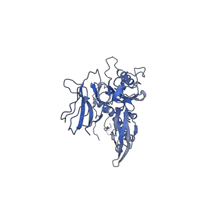 4677_6qyd_4Z_v1-0
Cryo-EM structure of the head in mature bacteriophage phi29