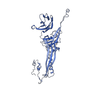 4677_6qyd_4a_v1-0
Cryo-EM structure of the head in mature bacteriophage phi29