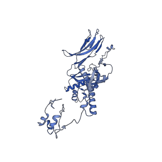 4677_6qyd_4b_v1-0
Cryo-EM structure of the head in mature bacteriophage phi29