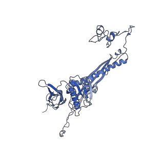4677_6qyd_4d_v1-0
Cryo-EM structure of the head in mature bacteriophage phi29