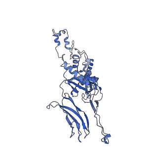 4677_6qyd_5D_v1-0
Cryo-EM structure of the head in mature bacteriophage phi29