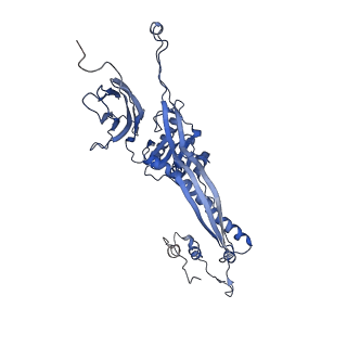4677_6qyd_5F_v1-0
Cryo-EM structure of the head in mature bacteriophage phi29