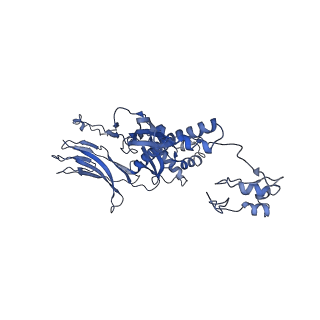4677_6qyd_5G_v1-0
Cryo-EM structure of the head in mature bacteriophage phi29