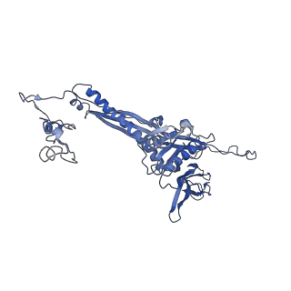 4677_6qyd_5I_v1-0
Cryo-EM structure of the head in mature bacteriophage phi29