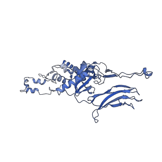 4677_6qyd_5J_v1-0
Cryo-EM structure of the head in mature bacteriophage phi29