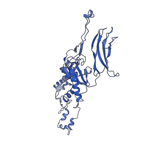 4677_6qyd_5P_v1-0
Cryo-EM structure of the head in mature bacteriophage phi29