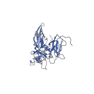 4677_6qyd_5Q_v1-0
Cryo-EM structure of the head in mature bacteriophage phi29