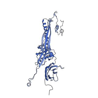 4677_6qyd_5R_v1-0
Cryo-EM structure of the head in mature bacteriophage phi29