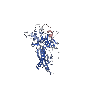 4677_6qyd_5T_v1-0
Cryo-EM structure of the head in mature bacteriophage phi29