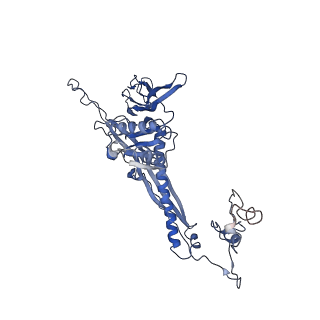 4677_6qyd_5U_v1-0
Cryo-EM structure of the head in mature bacteriophage phi29