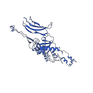 4677_6qyd_5V_v1-0
Cryo-EM structure of the head in mature bacteriophage phi29