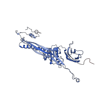 4677_6qyd_5X_v1-0
Cryo-EM structure of the head in mature bacteriophage phi29