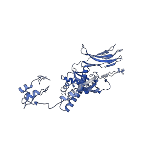4677_6qyd_5Y_v1-0
Cryo-EM structure of the head in mature bacteriophage phi29