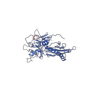 4677_6qyd_5Z_v1-0
Cryo-EM structure of the head in mature bacteriophage phi29