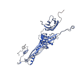 4677_6qyd_5d_v1-0
Cryo-EM structure of the head in mature bacteriophage phi29