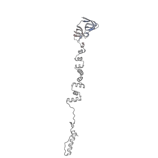 4677_6qyd_5g_v1-0
Cryo-EM structure of the head in mature bacteriophage phi29