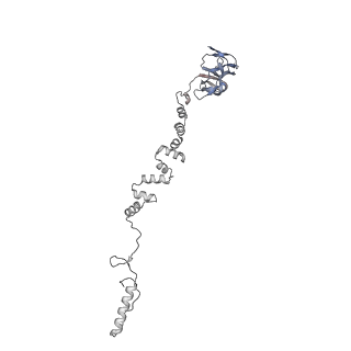 4677_6qyd_5h_v1-0
Cryo-EM structure of the head in mature bacteriophage phi29