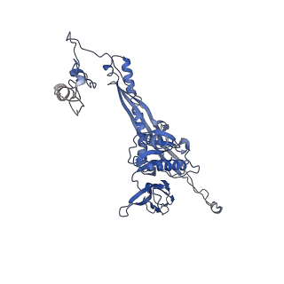 4677_6qyd_6D_v1-0
Cryo-EM structure of the head in mature bacteriophage phi29
