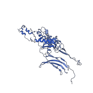 4677_6qyd_6E_v1-0
Cryo-EM structure of the head in mature bacteriophage phi29