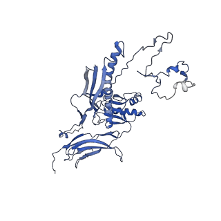 4677_6qyd_6H_v1-0
Cryo-EM structure of the head in mature bacteriophage phi29