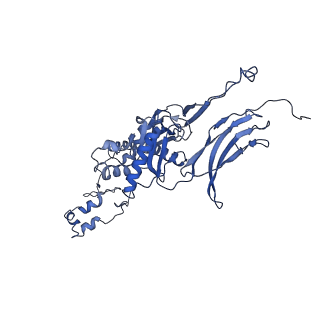 4677_6qyd_6K_v1-0
Cryo-EM structure of the head in mature bacteriophage phi29
