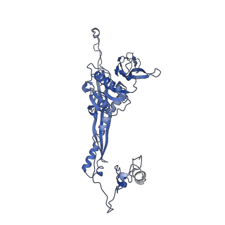 4677_6qyd_6P_v1-0
Cryo-EM structure of the head in mature bacteriophage phi29