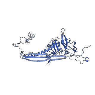 4677_6qyd_6S_v1-0
Cryo-EM structure of the head in mature bacteriophage phi29