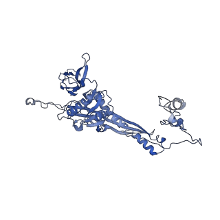 4677_6qyd_6V_v1-0
Cryo-EM structure of the head in mature bacteriophage phi29
