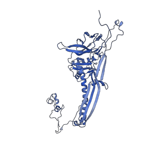 4677_6qyd_6Y_v1-0
Cryo-EM structure of the head in mature bacteriophage phi29
