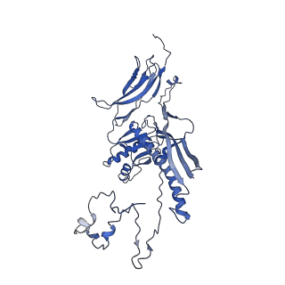 4677_6qyd_6Z_v1-0
Cryo-EM structure of the head in mature bacteriophage phi29