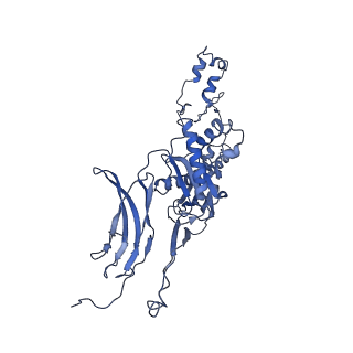 4677_6qyd_6c_v1-0
Cryo-EM structure of the head in mature bacteriophage phi29