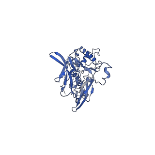 4677_6qyd_6d_v1-0
Cryo-EM structure of the head in mature bacteriophage phi29