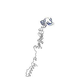 4677_6qyd_6e_v1-0
Cryo-EM structure of the head in mature bacteriophage phi29