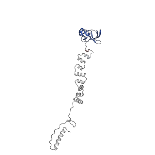 4677_6qyd_6f_v1-0
Cryo-EM structure of the head in mature bacteriophage phi29