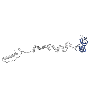 4677_6qyd_6g_v1-0
Cryo-EM structure of the head in mature bacteriophage phi29