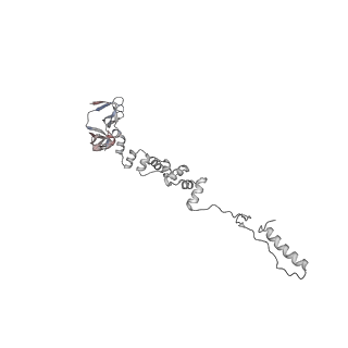 4677_6qyd_6i_v1-0
Cryo-EM structure of the head in mature bacteriophage phi29