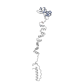 4677_6qyd_6k_v1-0
Cryo-EM structure of the head in mature bacteriophage phi29