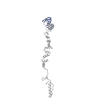 4677_6qyd_6l_v1-0
Cryo-EM structure of the head in mature bacteriophage phi29