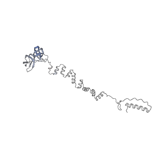 4677_6qyd_6o_v1-0
Cryo-EM structure of the head in mature bacteriophage phi29